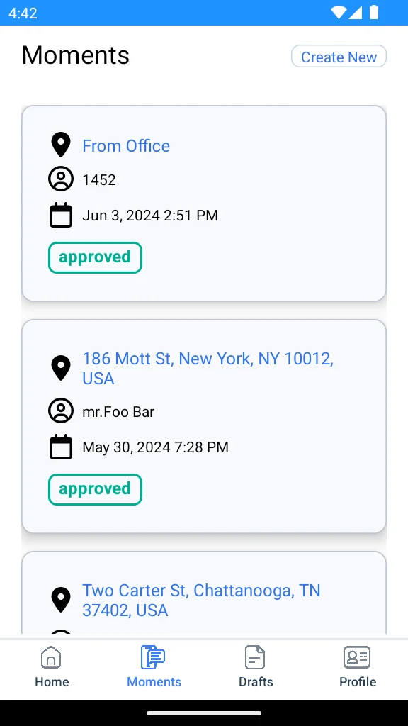 GeoBooster screenshot
